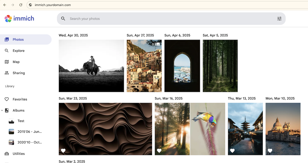 Immich web interface
